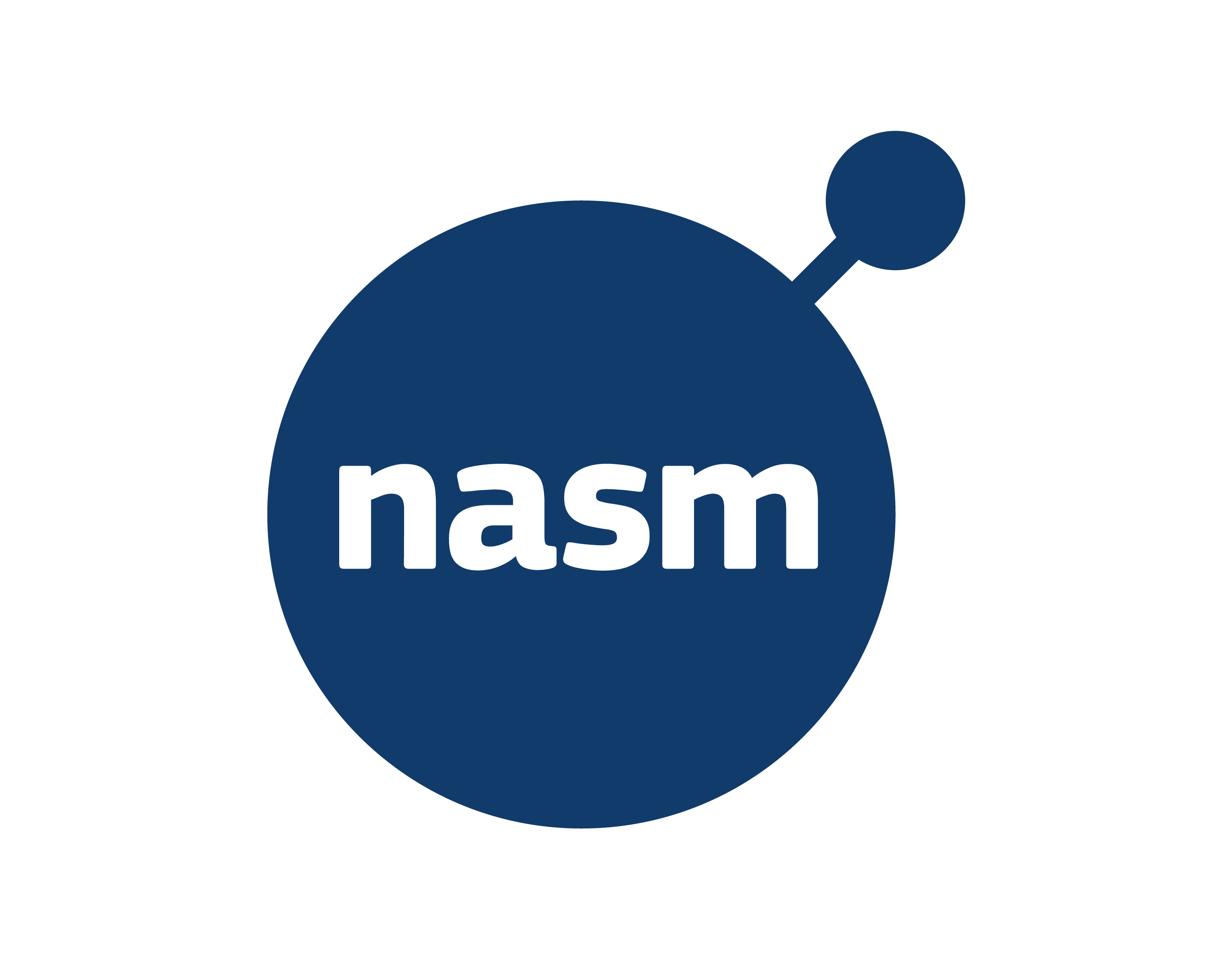 x86/x64 Assembly (NASM)